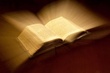 bibbia 9